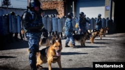 Согласно сообщению, учения начались с 10:00 по местному времени, фото архивное 