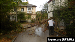 Поваленное штормовым ветром дерево на улице Севастополя, архивное фото 